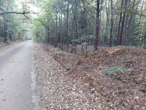 0 County Road 1587 Tr 3a, Avinger, TX