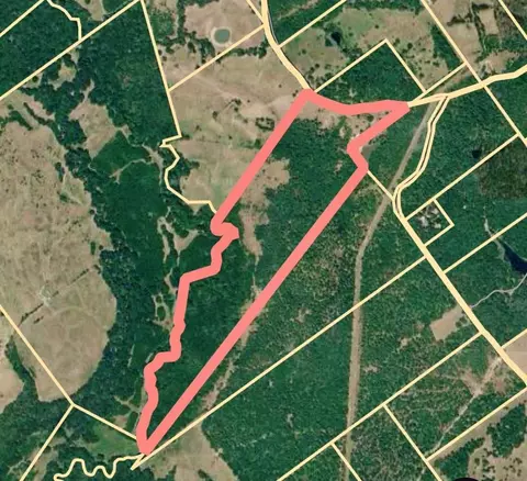tbd Cr4120, Lovelady, TX 75851