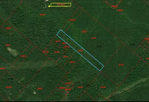 0 County Road 190, Raywood, TX 77582