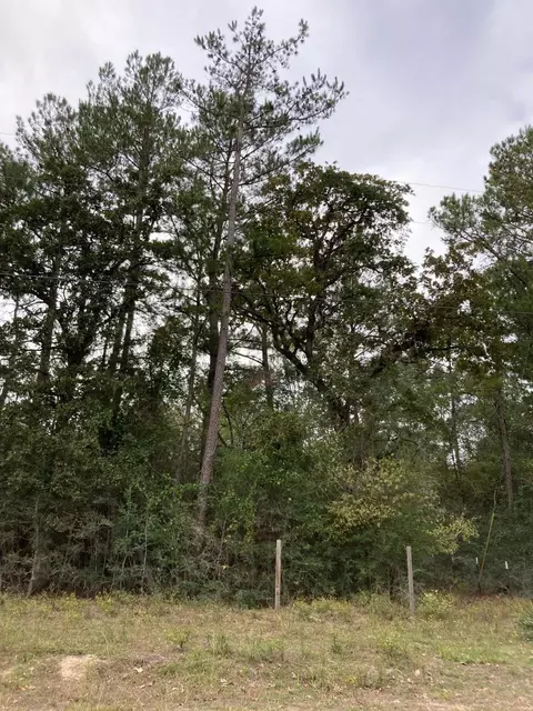 16596 Camelia Ln, Plantersville, TX 77363