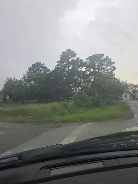11893 Vanwood St, Willis, TX 77318
