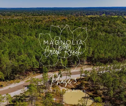 033 King Ranch Road South Rd, Onalaska, TX 77360