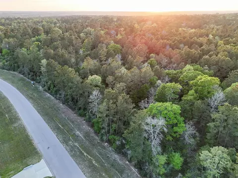 15537 Red Hawk Rd, Willis, TX 77373 photo 30