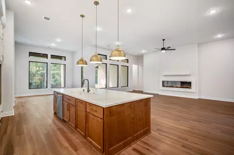 Living - 209 Lilac Tree Ct, Willis, TX 77318 photo 1 of 9