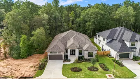 View/Area - 209 Lilac Tree Ct, Willis, TX 77318 photo 3 of 3