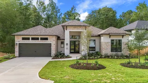 Exterior - 209 Lilac Tree Ct, Willis, TX 77318 photo 5 of 7