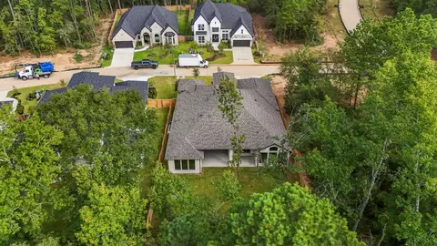 View/Area - 209 Lilac Tree Ct, Willis, TX 77318 photo 2 of 3