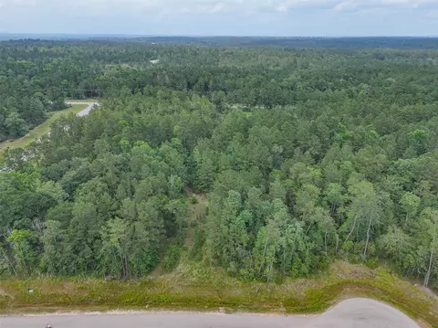 106 Eagle Run Rd, Willis, TX 77378 photo 4