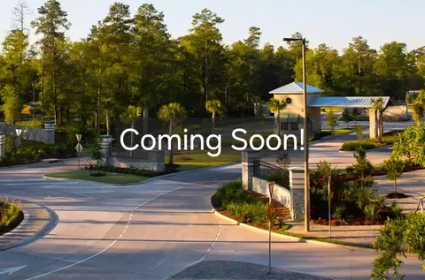 16849 Pink Wintergreen Dr, Conroe, TX 77385