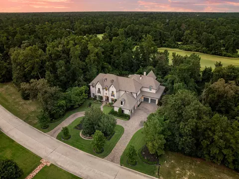 87 Mediterra Way, The Woodlands, TX 77389