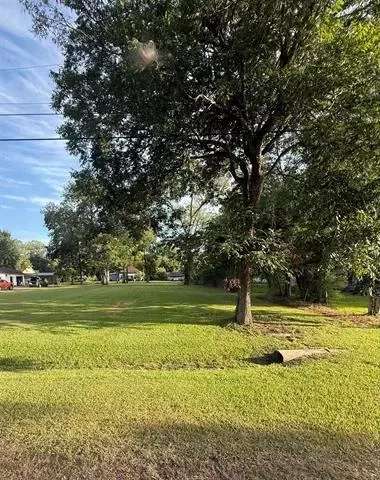 tbd Cora Lee St, Sour Lake, TX 77659