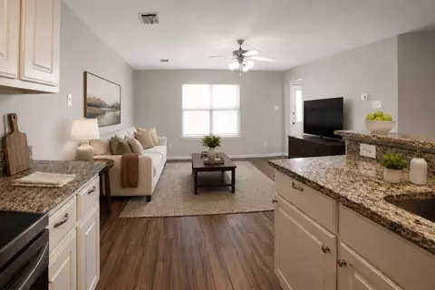 Other - 28714 Leon River Ct, Spring, TX 77386 photo 1 of 12