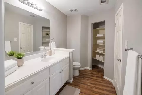 Bath - 28714 Leon River Ct, Spring, TX 77386 photo 1 of 4