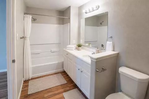 Bath - 28714 Leon River Ct, Spring, TX 77386 photo 4 of 4