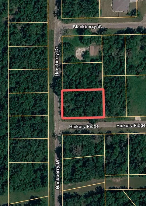 tbd Hackberry Dr, Onalaska, TX 77360 photo 6