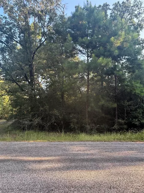 tbd Hackberry Dr, Onalaska, TX 77360 photo 3
