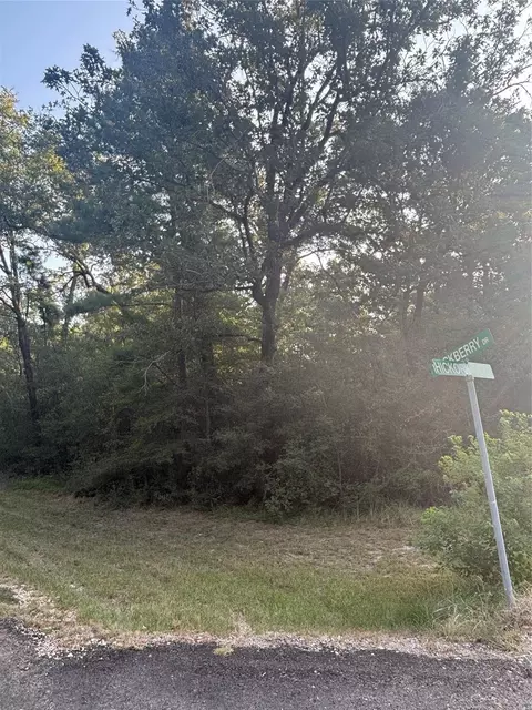 tbd Hackberry Dr, Onalaska, TX 77360 photo 2