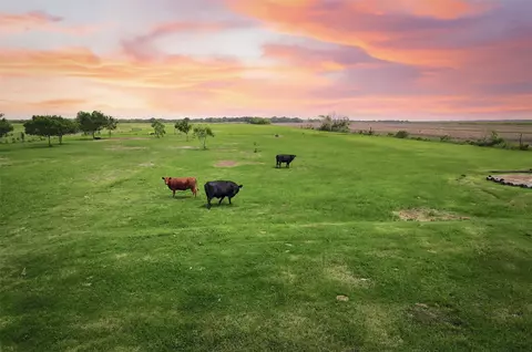 8007 County Road 170, Alvin, TX 77511