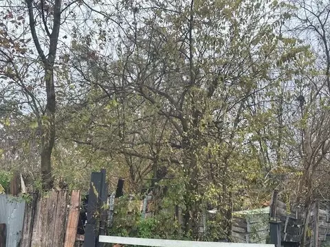 839 Fortune St, Houston, TX 77088