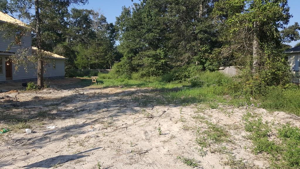13661 Running Bear, Willis, TX 77378 photo 1