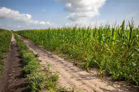 Other - tbd Fm 888, Mathis, TX 78368 photo 14 of 17