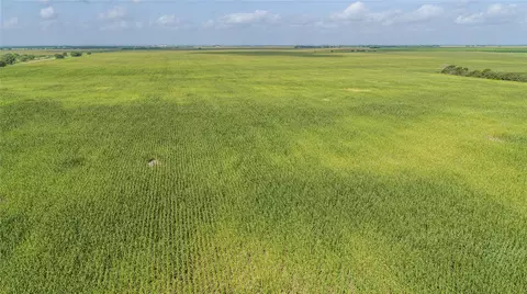 Other - tbd Fm 888, Mathis, TX 78368 photo 8 of 17