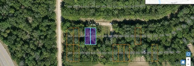 lot S 435 And 436 Wake Frst, Livingston, TX 77351