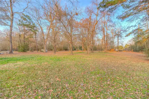 Other - 17709 Pine View Dr, Conroe, TX 77302 photo 11 of 12