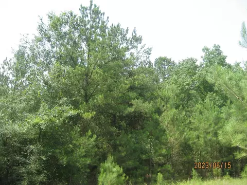0 Round Up Rd, Waller, TX 77484