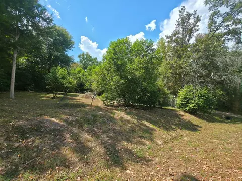 tbd Bonham Ln, Willis, TX 77378 photo 3
