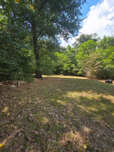 tbd Bonham Ln, Willis, TX 77378 photo 7