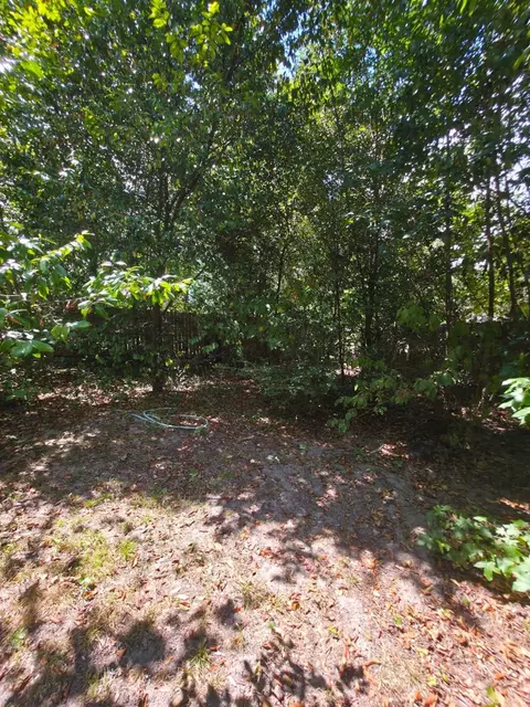 tbd Bonham Ln, Willis, TX 77378 photo 8