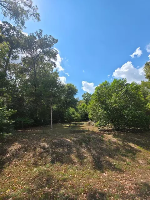 tbd Bonham Ln, Willis, TX 77378 photo 6
