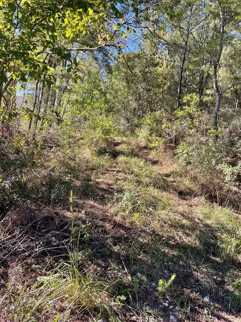 0000 Fm 2090, Splendora, TX 77372