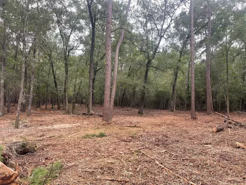 Tract B Mangum Road, Livingston, TX 77351