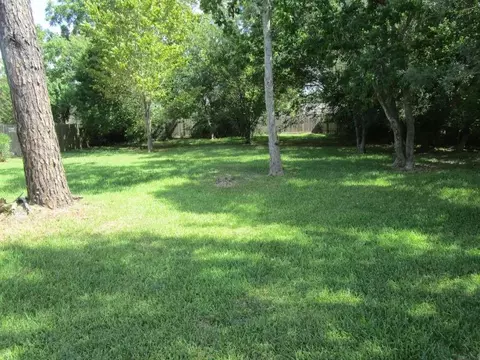 442 Baywood St, Shenandoah, TX 77571