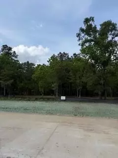 139777 Capital Creek Ranch Blvd, Willis, TX 77378