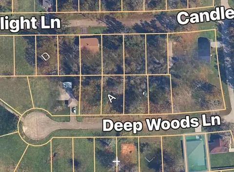 tbd Deep Woods Lane Ln, Livingston, TX 77351