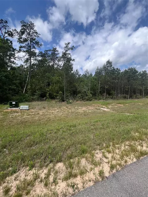 16229 Ridge Oak Rd, Willis, TX 77378