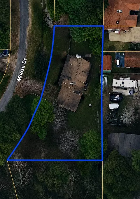View/Area - 647 Moose Dr, Onalaska, TX 77360 photo 1 of 1