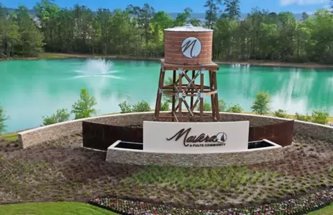 View/Area - 15865 Blass Valley Dr, Conroe, TX 77302 photo 2 of 16