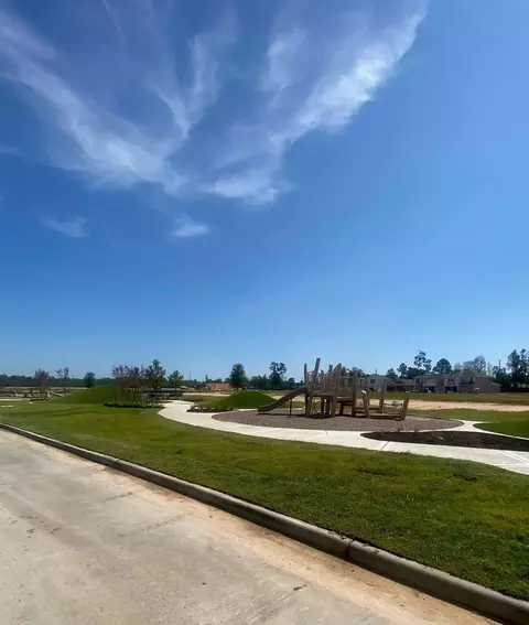 View/Area - 15865 Blass Valley Dr, Conroe, TX 77302 photo 7 of 16