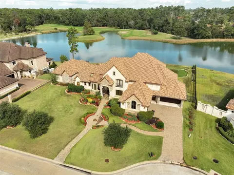 View/Area - 22 Post Shadow Estate Dr, Spring, TX 77389 photo 2 of 3