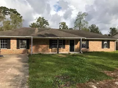 134 Woodlawn Dr, Sour Lake, TX 77659