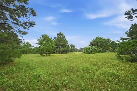 Other - 8651 Pr 1230, Centerville, TX 75833 photo 2 of 10