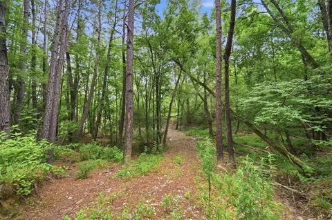 Other - 8651 Pr 1230, Centerville, TX 75833 photo 3 of 10