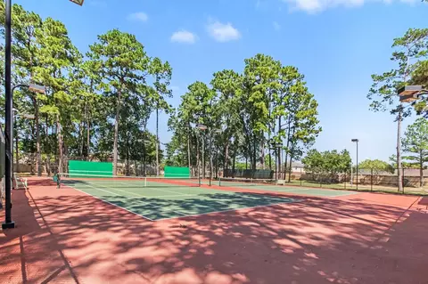 Other - 3015 Rustic Gardens Dr, Spring, TX 77386 photo 6 of 6
