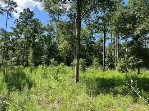 641 Rolling Pines Dr, Livingston, TX 77351