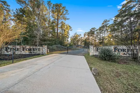 Other - 152 Lori Ln, Trinity, TX 75862 photo 13 of 14