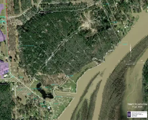 lot1 Lake Livingston Ln, Trinity, TX 75862 photo 2